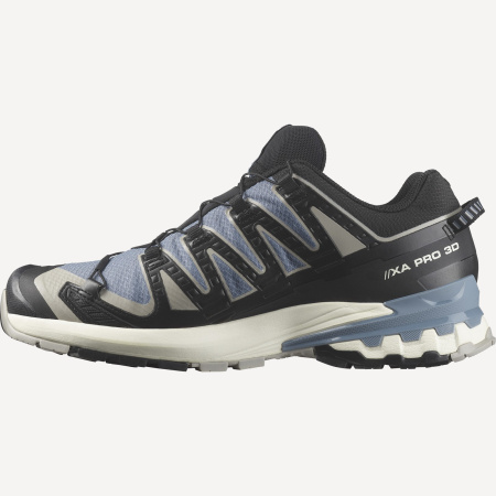 Кроссовки XA PRO 3D v9 GTX (RU 45.5 UK 11.5 USm 12 СМ 29.5; flint stone/black/ghost gray)